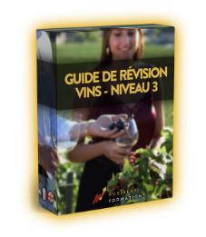 cropped-Box-Quiz-WSET-3.png